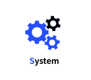 System