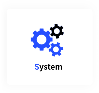 System