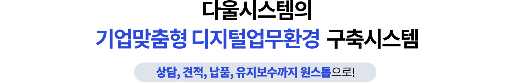 다울시스템의 기업맞춤형 디지털업무환경 구축시스템
